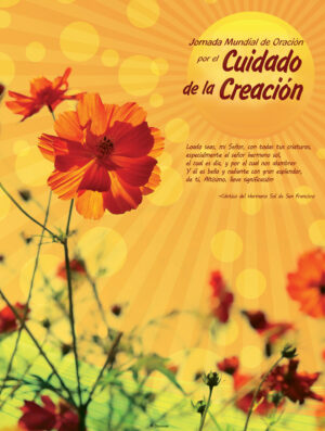 Care of Creation Gold - Spanish