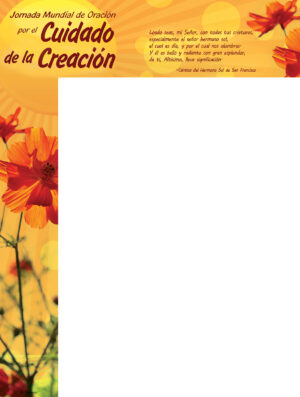Care of Creation Gold - Wrapper - Spanish