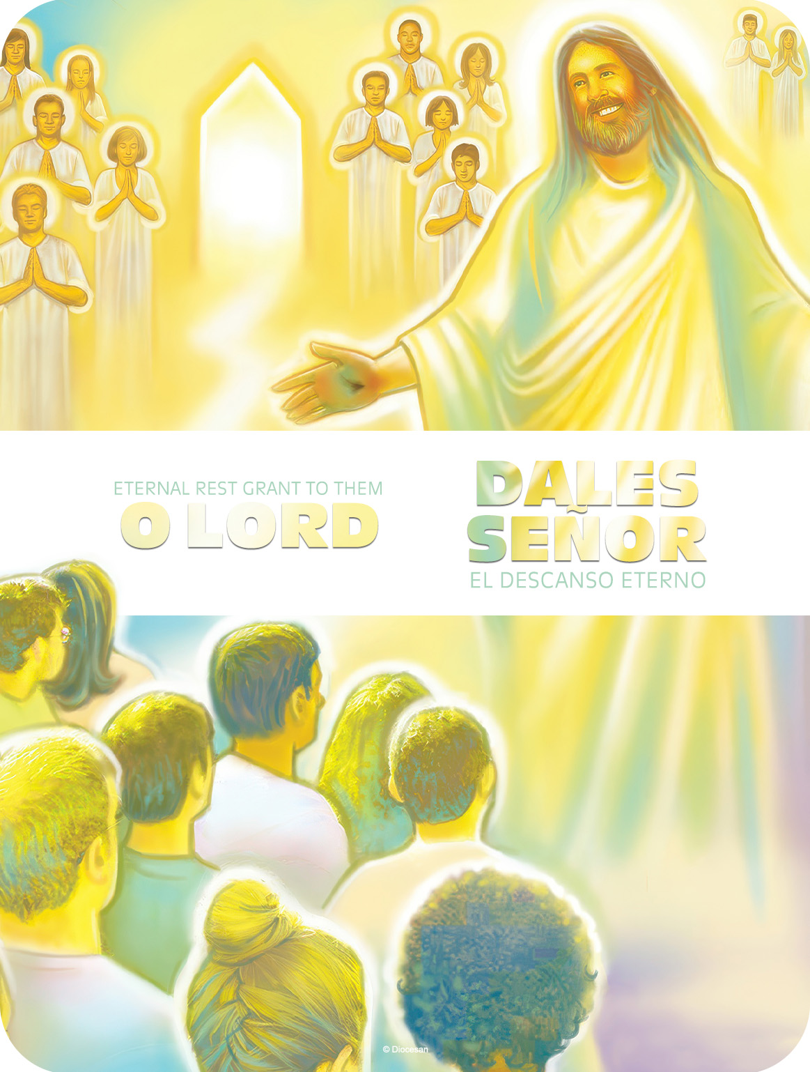 27050_d8d05a52851e73302cacf7b7460440b2