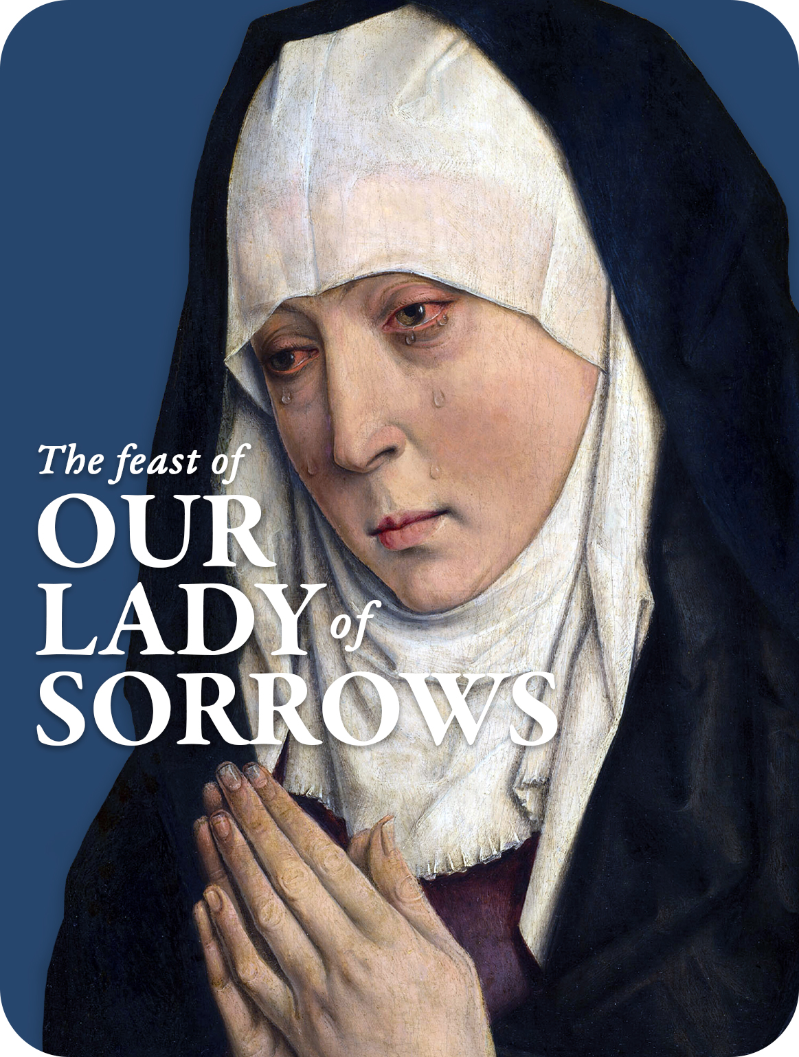 3990_23e70ca5034d18ef27c79e406d522e01