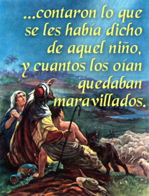 Mary Mother of God - Gospel - Spanish