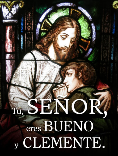 Ordinary Time - Week 16 - Response - Spanish