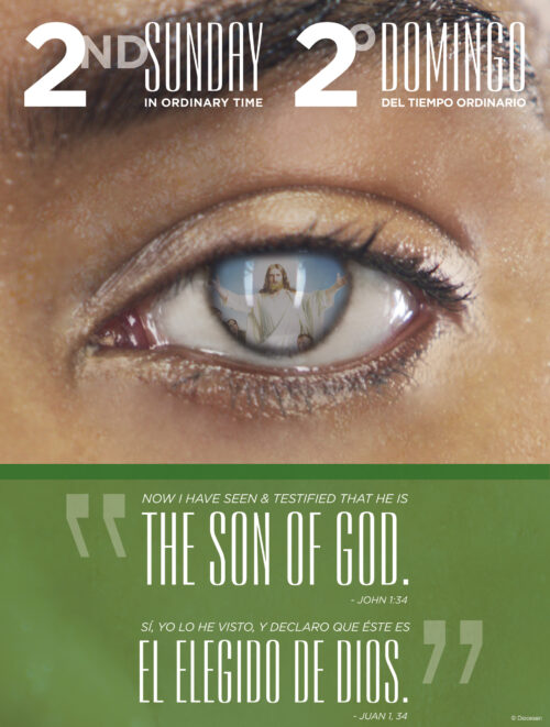See the Son of God Bilingual