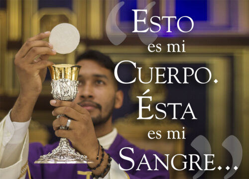 Palm Sunday - Gospel - Spanish