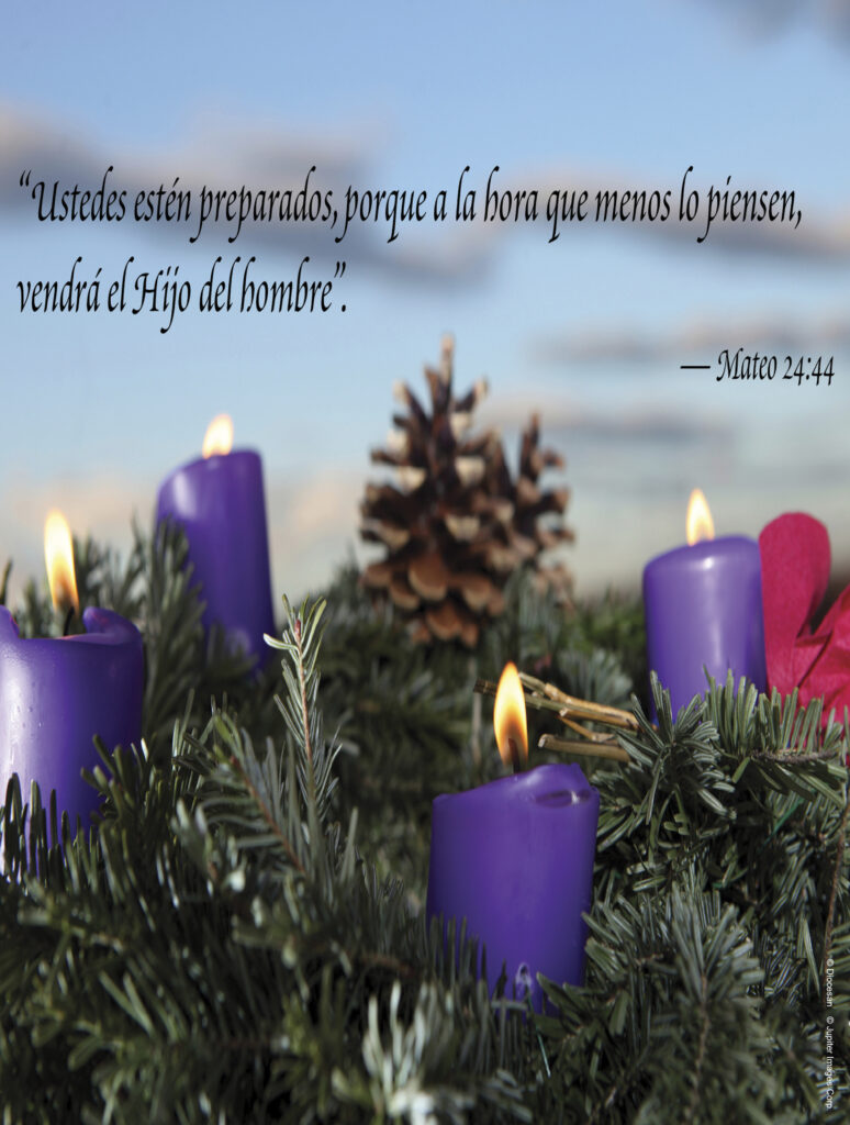 First Sunday of Advent D Cover - Spanish | Diocesan