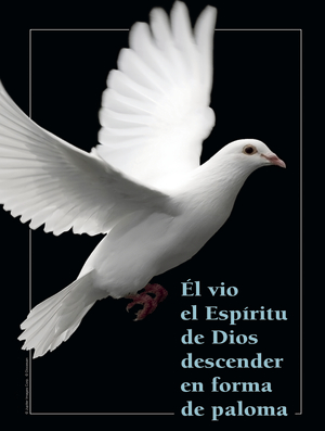 Baptism of the Lord B Cover - Spanish