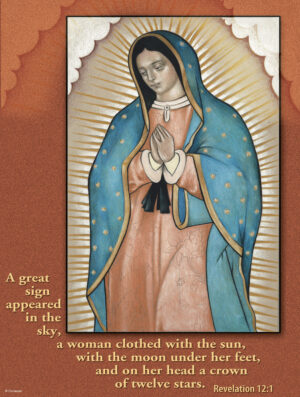 Feast of Our Lady of Guadalupe Cover - English