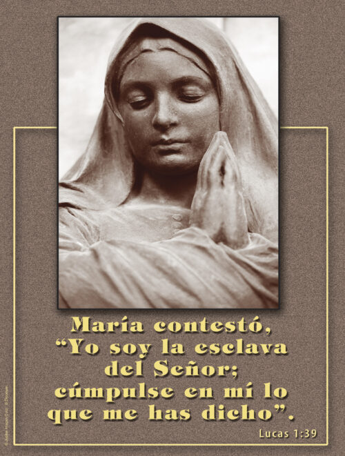 Immaculate Conception Cover - Spanish