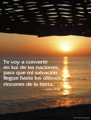 Second Sunday of Ordinary Time C Cover - Spanish