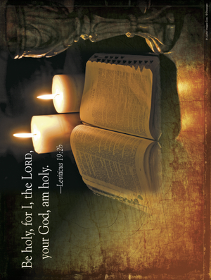 Seventh Sunday of Ordinary Time C Cover - English