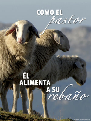 Second Sunday of Advent B Cover - Spanish