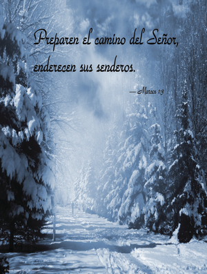 Second Sunday of Advent C Cover - Spanish
