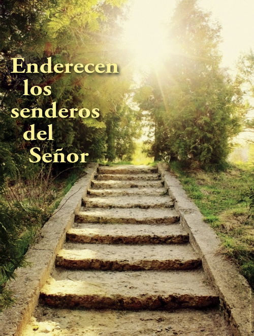 Third Sunday of Advent D Cover - Spanish