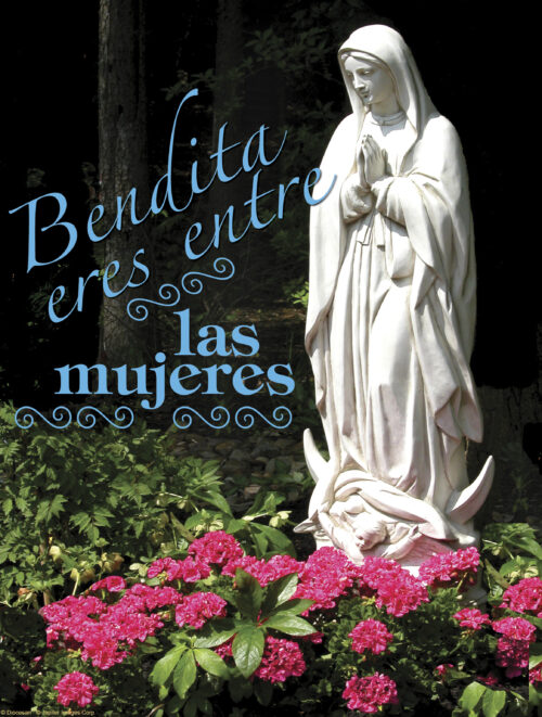 Fourth Sunday of Advent B Cover - Spanish