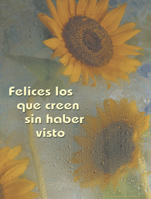 Divine Mercy Cover - Spanish