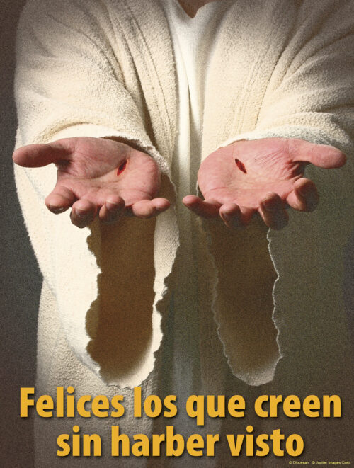 Divine Mercy B Cover - Spanish