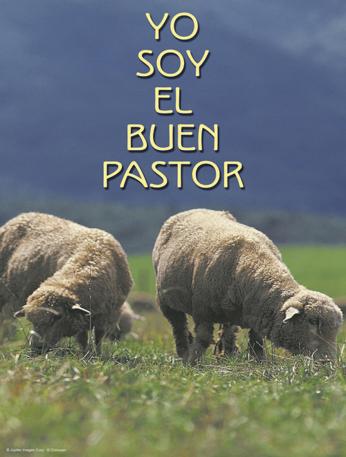 Fourth Sunday of Easter Cover - Spanish