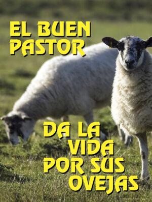 Fourth Sunday of Easter B Cover - Spanish