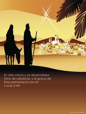 Holy Family B Cover - Spanish