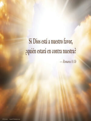 Second Sunday of Lent D Cover - Spanish