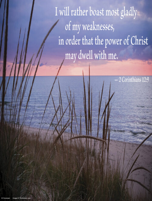 Fourteenth Sunday of Ordinary Time C Cover - English