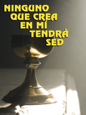 Eighteenth Sunday of Ordinary Time Cover - Spanish