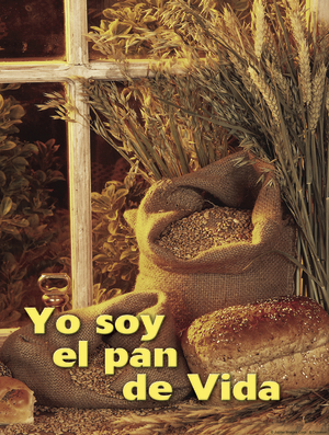 Nineteenth Sunday of Ordinary Time Cover - Spanish