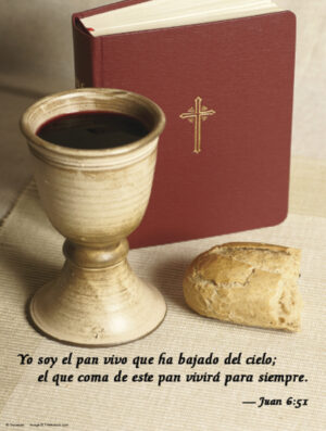 Nineteenth Sunday of Ordinary Time D Cover - Spanish