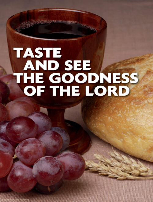 Twentieth Sunday of Ordinary Time B Cover - English