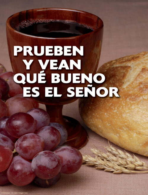 Twentieth Sunday of Ordinary Time B Cover - Spanish