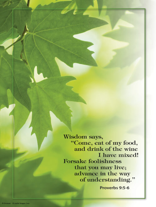 Twentieth Sunday of Ordinary Time C Cover - English
