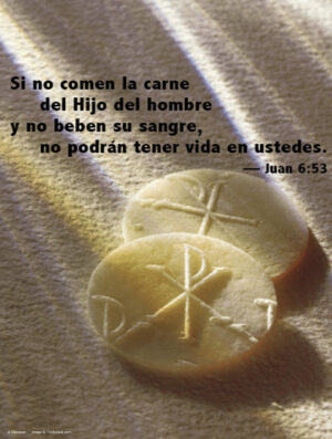 Twentieth Sunday of Ordinary Time D Cover - Spanish