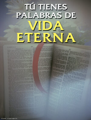 Twenty-first Sunday of Ordinary Time B Cover - Spanish