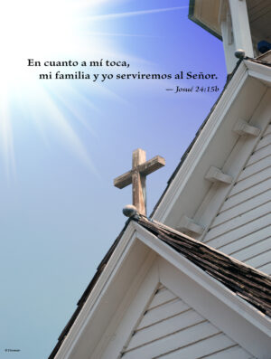 Twenty-first Sunday of Ordinary Time D Cover - Spanish