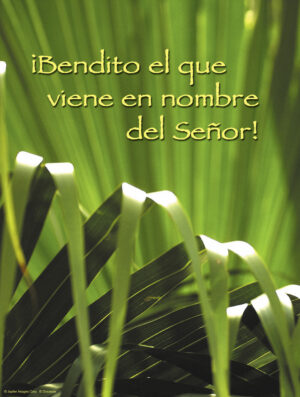 Palm Sunday of the Passion of the Lord Cover - Spanish