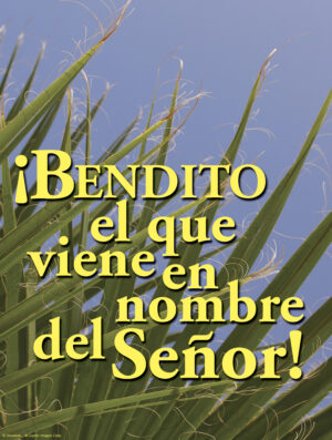 Palm Sunday of the Passion of the Lord B Cover - Spanish