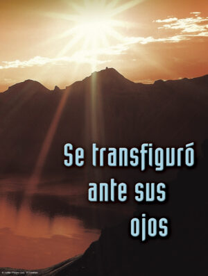 Transfiguration Cover - Spanish