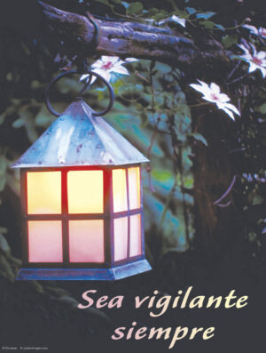 First Sunday of Advent Cover - Spanish