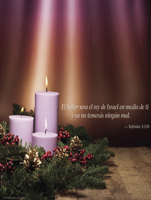 Third Sunday of Advent D Cover - Spanish