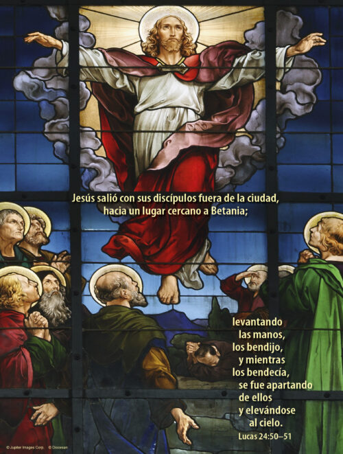 Ascension of the Lord C Cover - Spanish