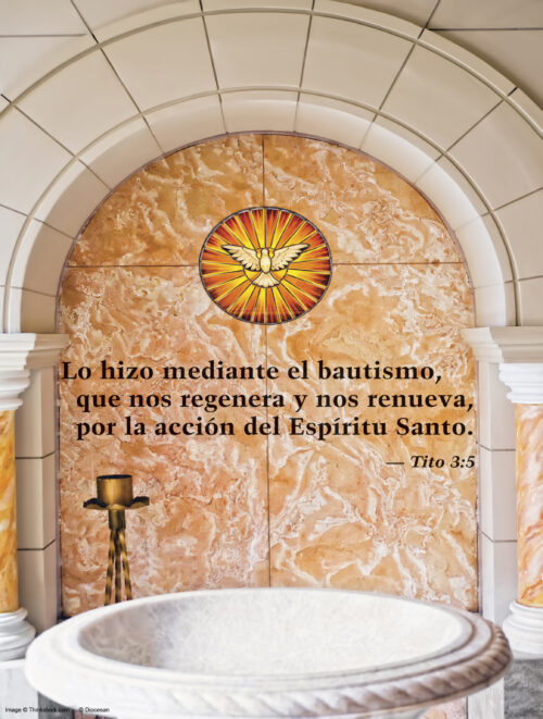 Baptism of the Lord Cover - Spanish