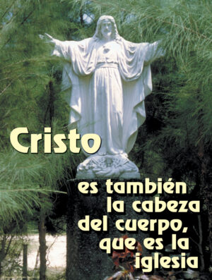 Christ the King Cover - Spanish