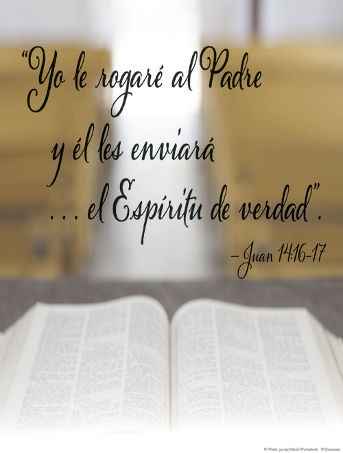 Sixth Sunday of Easter D Cover - Spanish