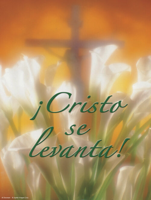 Easter Cover - Spanish