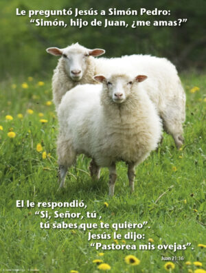 Third Sunday of Easter C Cover - Spanish