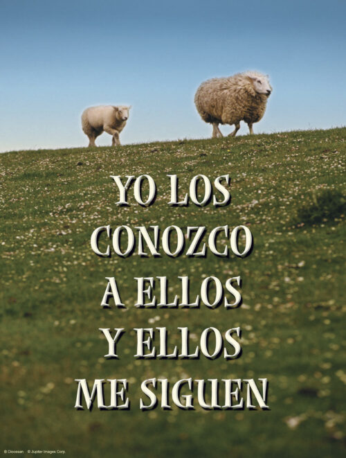Fourth Sunday of Easter Cover - Spanish