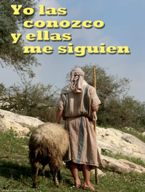 Fourth Sunday of Easter B Cover - Spanish