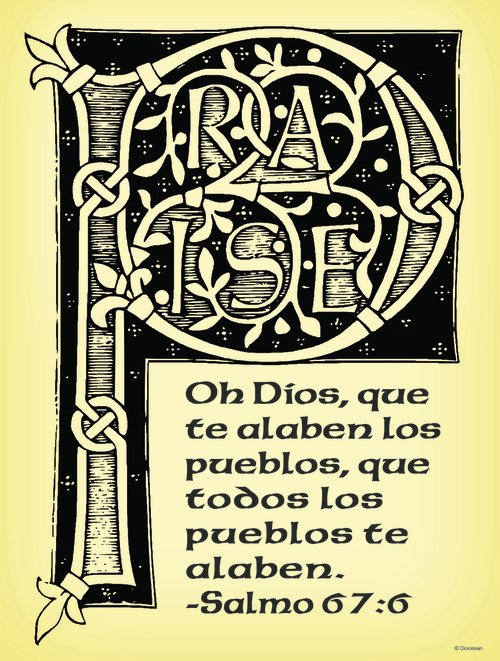 Sixth Sunday of Easter D Cover - Spanish