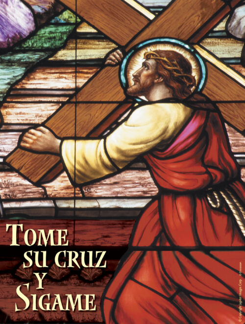 Twenty-second Sunday of Ordinary Time Cover - Spanish