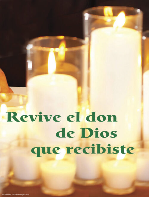 Twenty-seventh Sunday of Ordinary Time Cover - Spanish